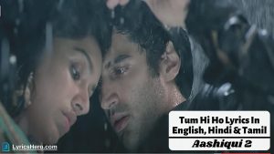 Tum Hi Ho Lyrics In English, Tum Hi Ho Meaning In English, Tum Hi Ho Lyrics In Tamil, Tum Hi Ho Song Lyrics In English, Hum Tere Bin Lyrics Hindi, Tum Hi Ho Lyrics Translation